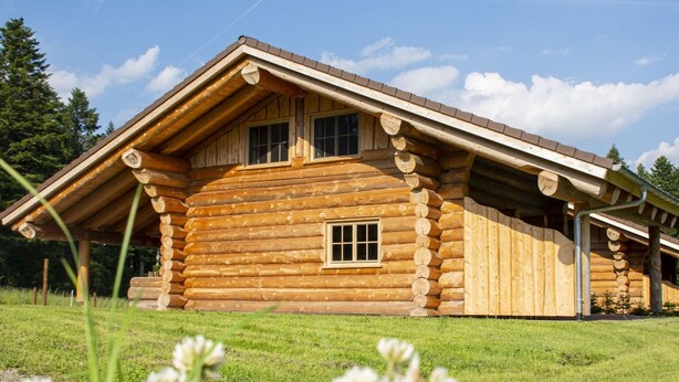 A log cabin with a gabled roof, a central window, and a door on the side. - Holiday Home 'Blockhaus Almhütte Wiesenglück' with Private Terrace, Private Garden and Wi-Fi (Glatten)