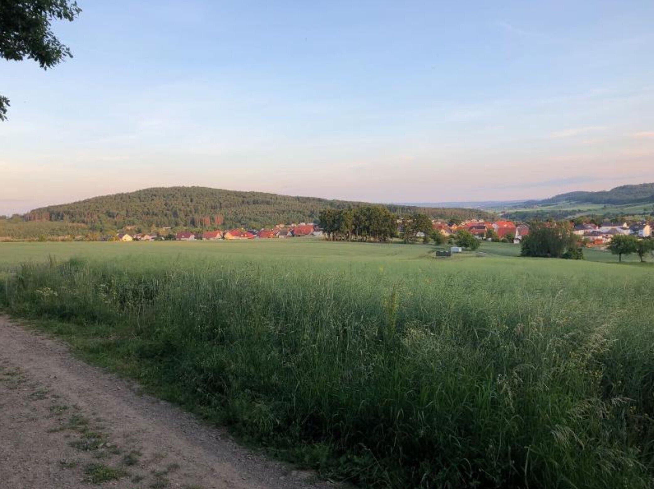 A rural landscape with a dirt path, green fields, and a distant village with red-roofed buildings.