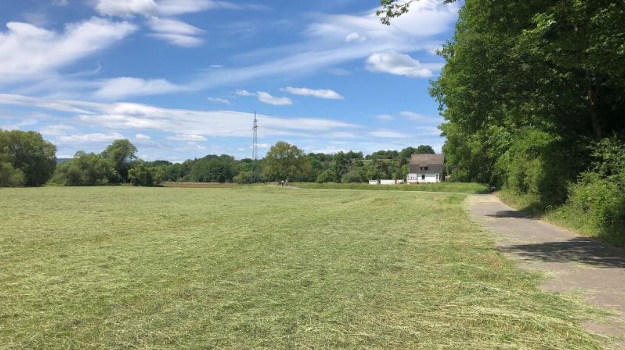 A grassy field with a path leading to a house.