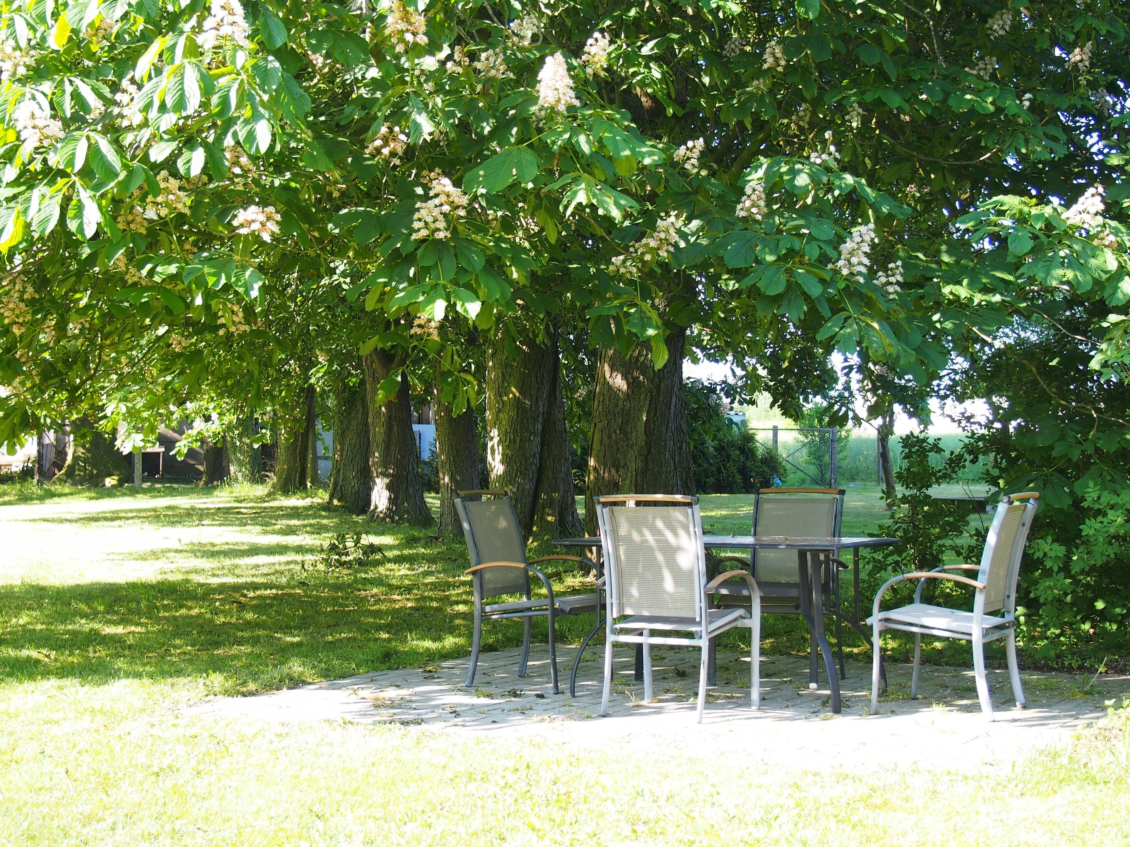 An outdoor seating area with a table and four chairs under a tree.