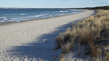 Playa en los alrededores