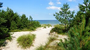 Nära stranden