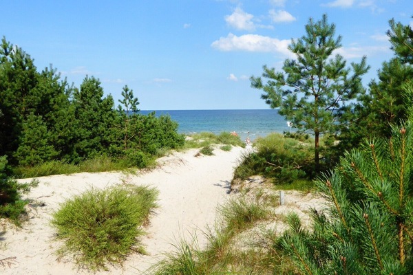 Playa