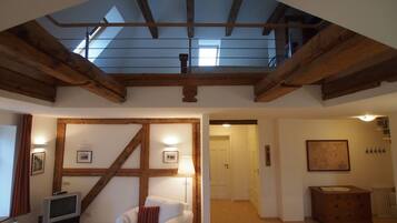 Televisión, chimenea, reproductor de DVD y tenis de mesa