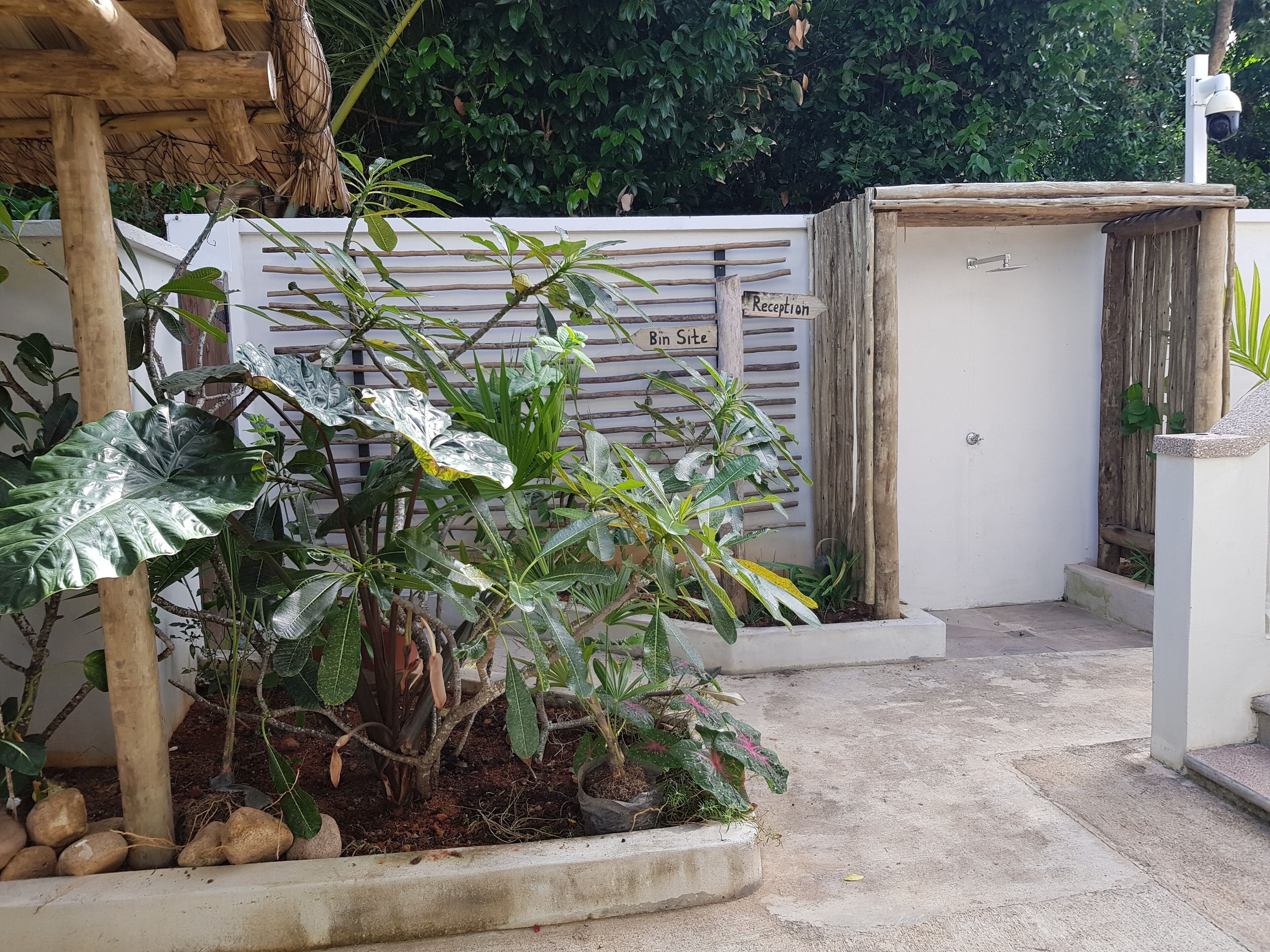 A reception area with a sign labeled "Reception" and "Bin Site," surrounded by lush greenery and a wooden structure.