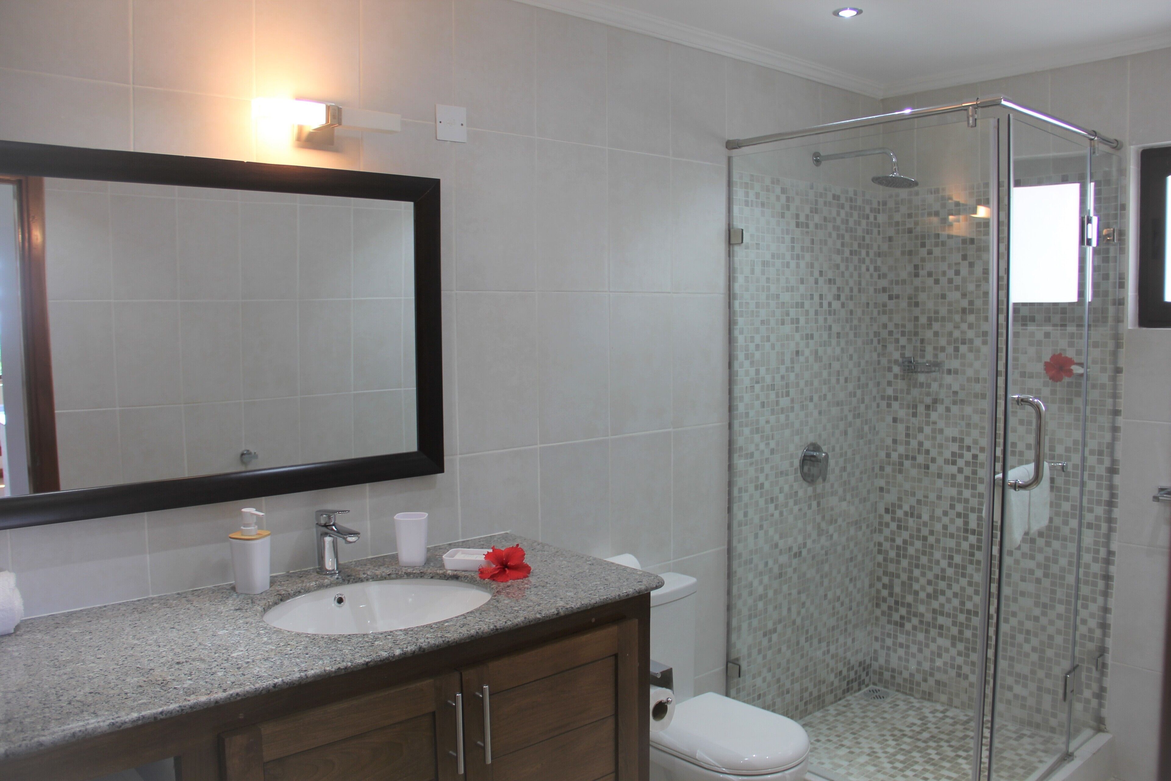 A bathroom with a glass-enclosed shower, a sink with a mirror above it, and a toilet.