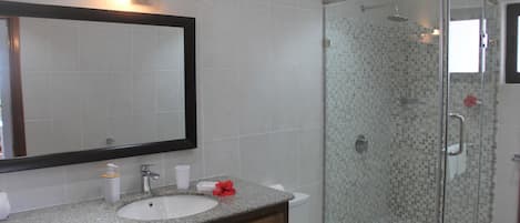 A bathroom with a glass-enclosed shower, a sink with a mirror above it, and a toilet.