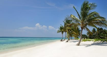 Luxury Villa With Heated Pool Jacuzzi Full Staff