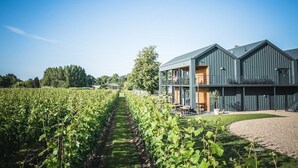 A vineyard with rows of grapevines leading to a modern building with a balcony. - Luxury Countryside Haven for 10 (Chichester)