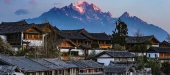 qingxuege