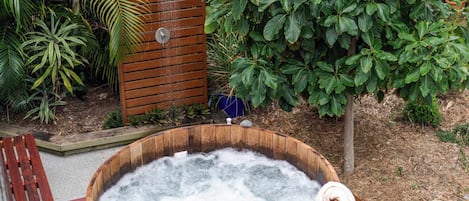 Baignoire à remous extérieure