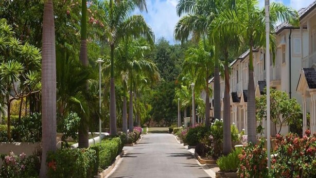 Une rue bordée d’arbres, avec des immeubles des deux côtés.