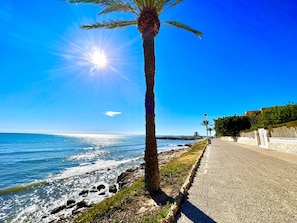 A coastal walkway with a palm tree, clear blue sky, and the ocean. - Chaves House by Gloove (santa pola)