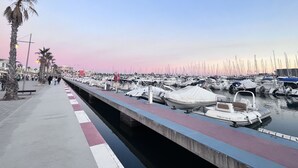 Ein Yachthafen mit Booten, die entlang einer Uferpromenade liegen, gesäumt von Palmen.