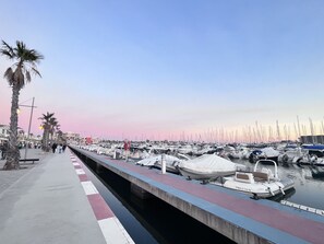 Stroll along the waterfront promenade lined with palm trees and enjoy the serene atmosphere.