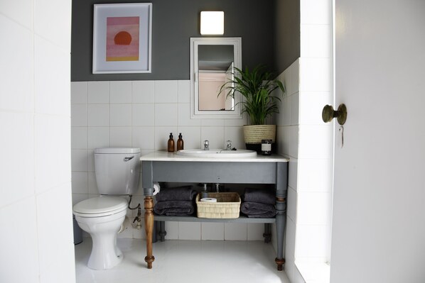 Un baño con inodoro blanco, lavamanos con espejo superior y una planta en maceta sobre la encimera.
