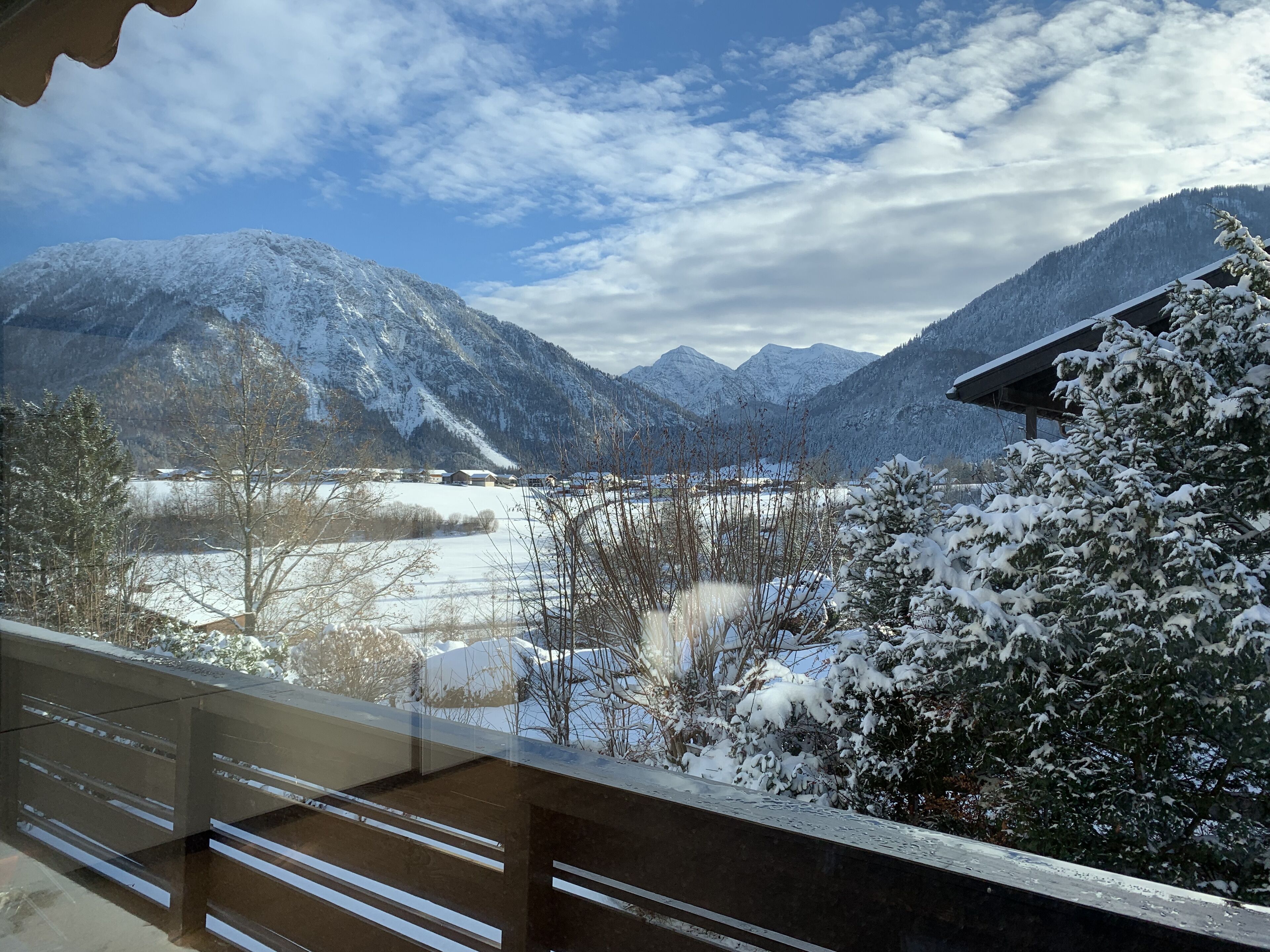 A mountain landscape with snow-covered trees and a clear sky.