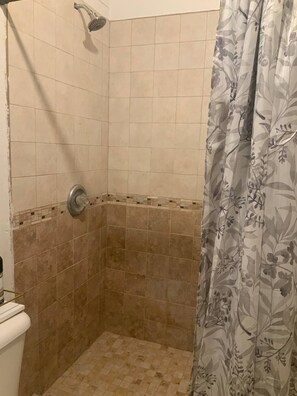 Chuveiro, secador de cabelo, toalhas de banho, sabonete