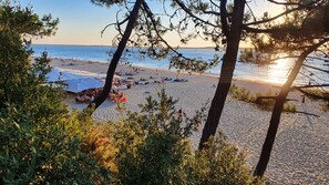 A beach with umbrellas and people, surrounded by trees.