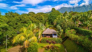 A thatched-roof house surrounded by lush greenery and a mountain backdrop. - Cute. Cozy. Private. Pool. Ojochal. (Ojochal)