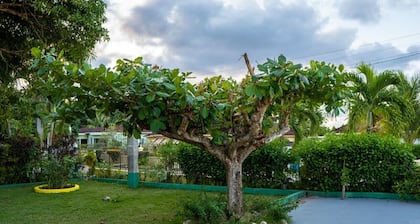 Cosy, Peaceful Villa located 5 minutes from Ocho Rios.