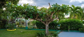 Cosy, Peaceful Villa located 5 minutes from Ocho Rios.