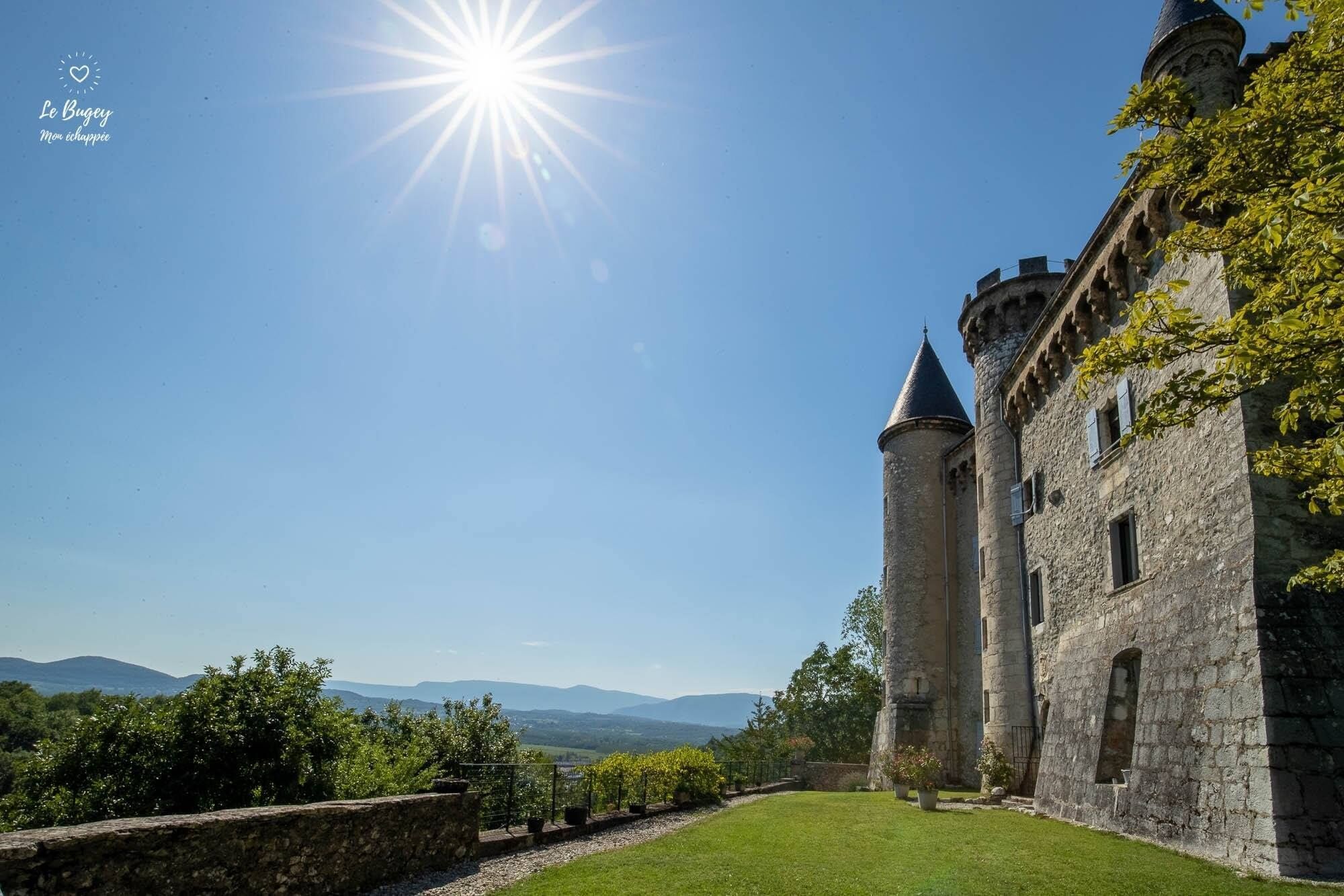 A historic stone building with two prominent towers, a well-maintained lawn, and a clear view of distant mountains.