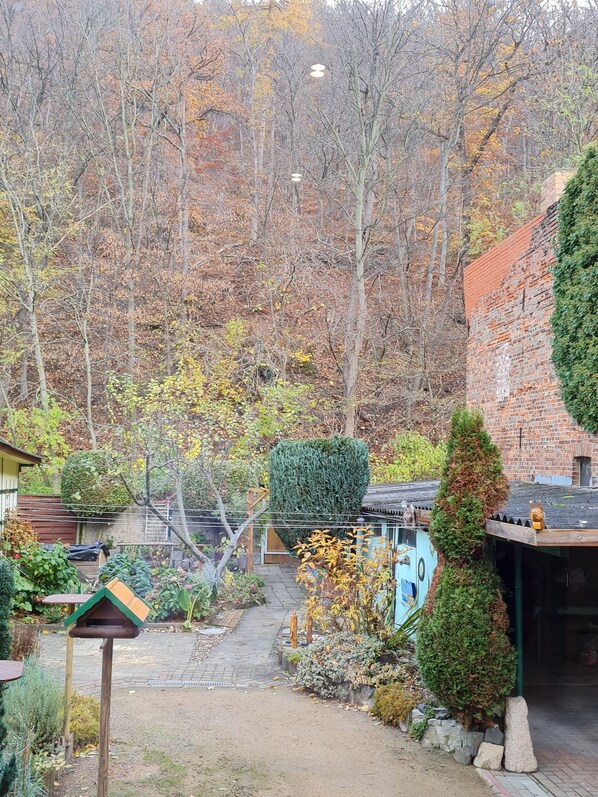 Property grounds - Ferienwohnung am Tiergarten, Zentrumsnah in Wernigerode (Wernigerode)