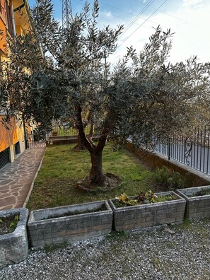 Jardin