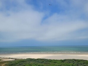 A beach with a clear sky, a sandy shore, and a line of greenery in the foreground.