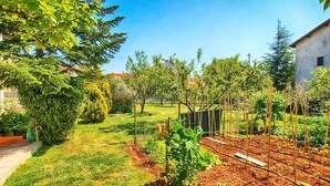 A garden with various plants and a vegetable patch.