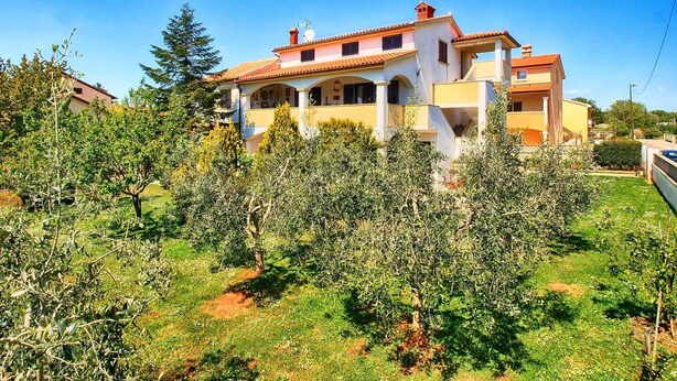 A two-story building with a balcony, surrounded by olive trees and greenery.