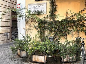 A building with a sign reading "VICOLO RV DELLA CAMPANELLA" and a no parking sign. There are potted plants and a bicycle in front. -  In Central Historic Rome, a Charming, Extremely Quiet & Cozy Apartment. (Rome)