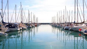 A marina with numerous sailboats docked in calm waters.