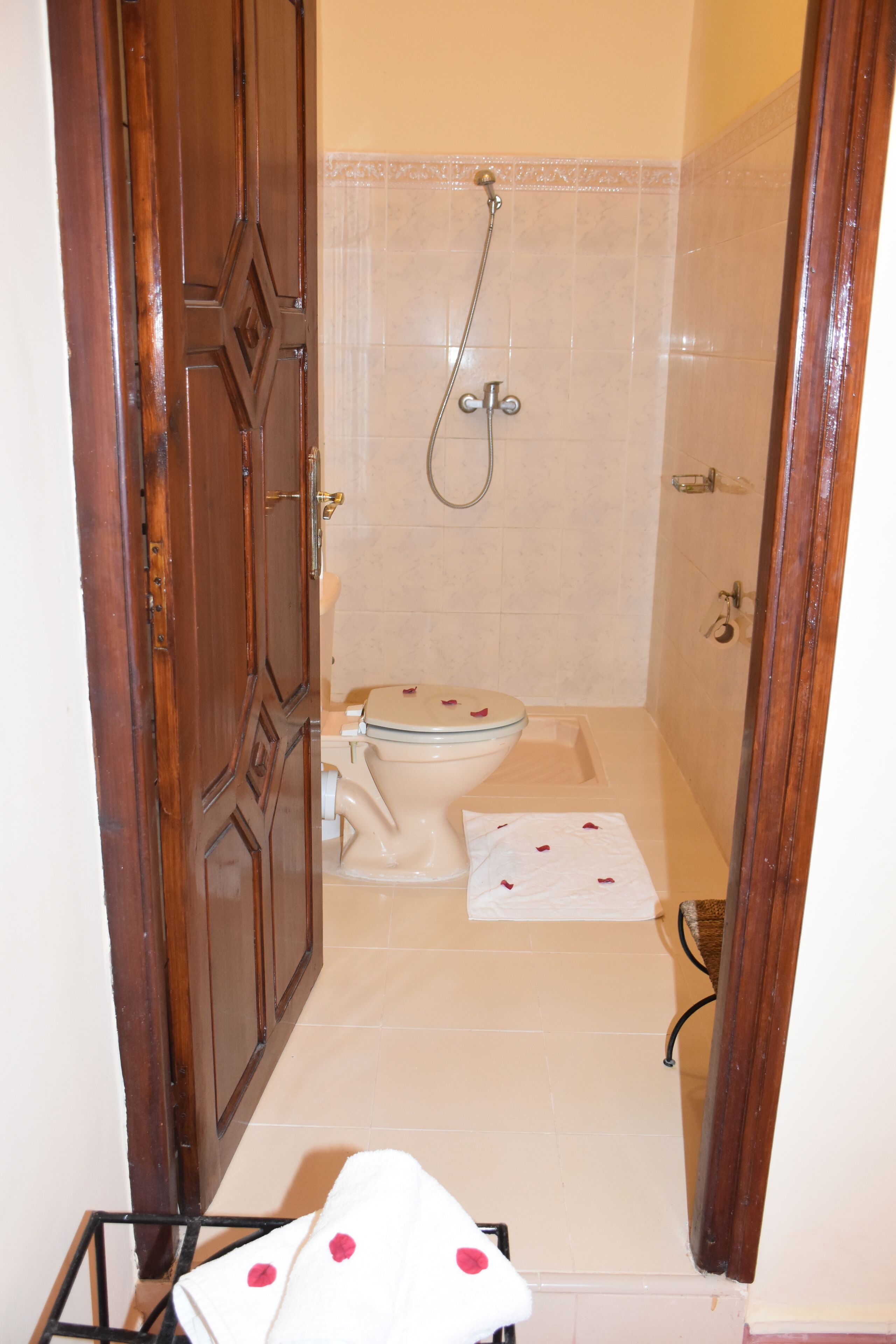 Ein Badezimmer mit Toilette, Dusche und Holztür.