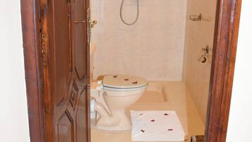 Ein Badezimmer mit Toilette, Dusche und Holztür.