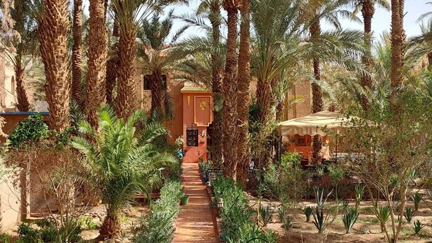 A pathway leading to a building with a red facade and a yellow door, surrounded by palm trees and greenery. - Riad le Petit Jardin  (Zagora)