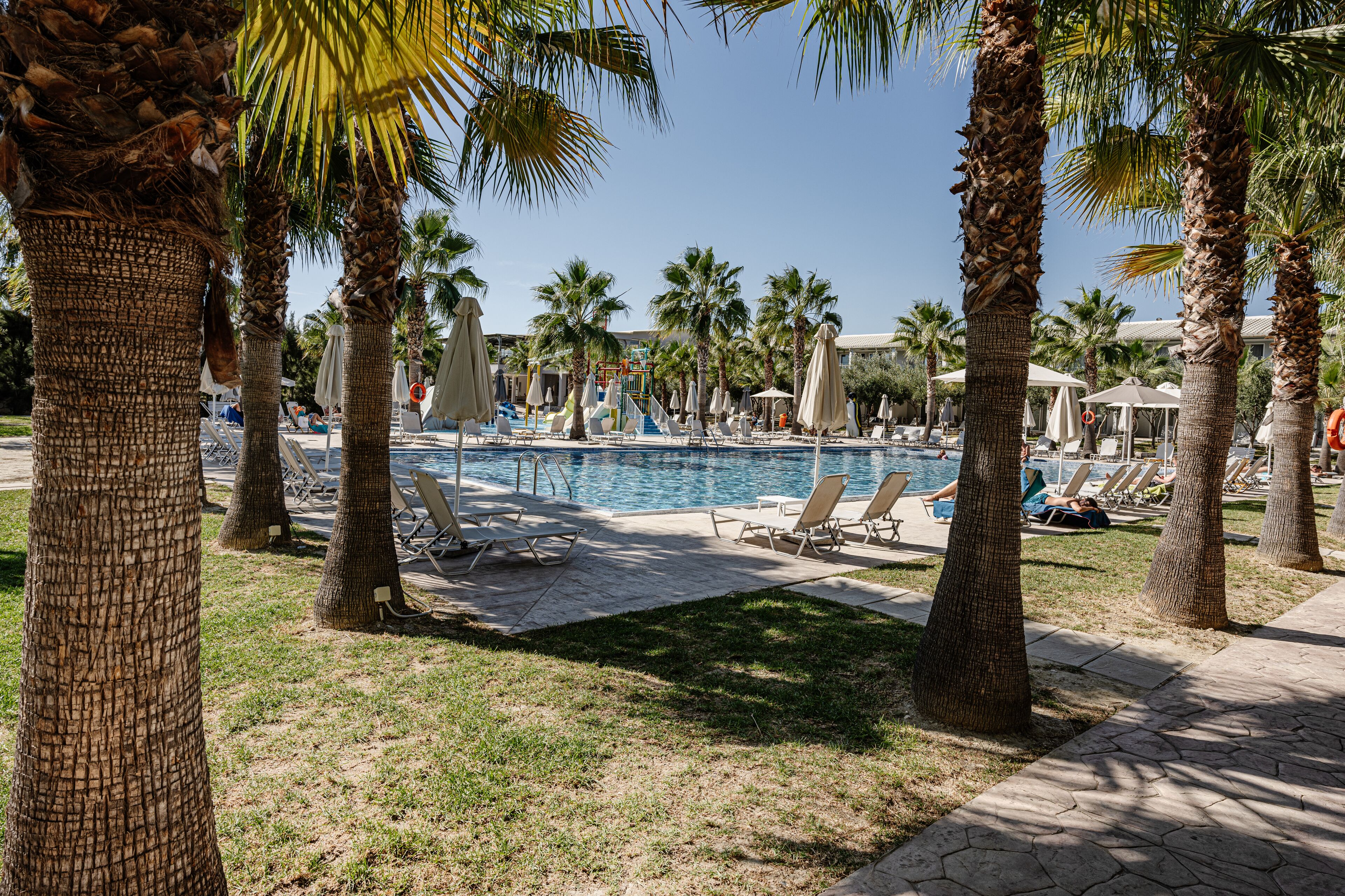 A poolside area with lounge chairs and palm trees.