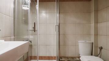 Un baño con ducha separada por mampara de vidrio, inodoro y lavabo.