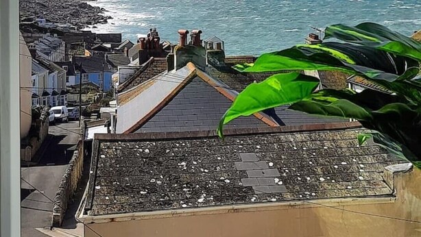 Uma cidade costeira com vista para o mar, casas em terraços e uma grande planta verde em primeiro plano.