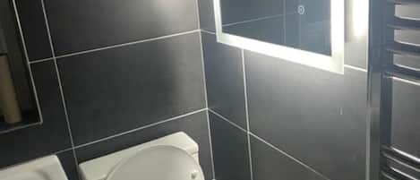 Hair dryer, towels, toilet paper