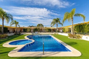 Una piscina de forma singular, rodeada de césped cuidado y palmeras.