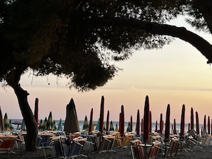 Une plage bordée de rangées de chaises longues et de parasols, le tout à l’ombre d’un grand arbre.