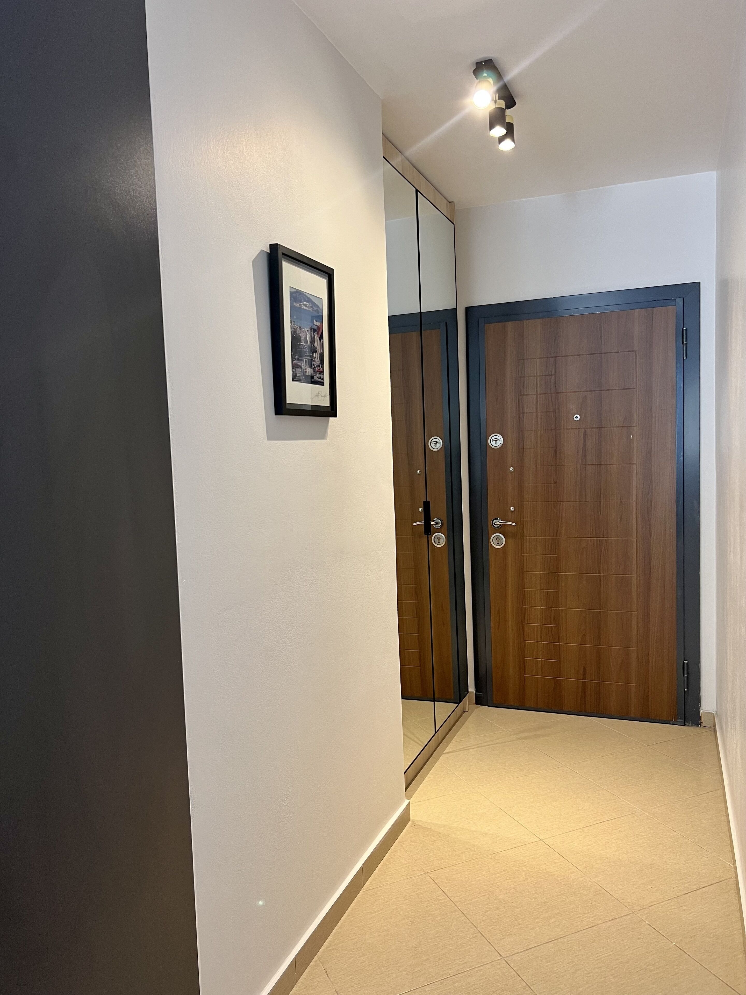 A hallway with a mirrored closet, a framed picture on the wall, and a wooden door with a black frame.