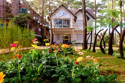 Gác Măng Rê - Măng Đen Hotel