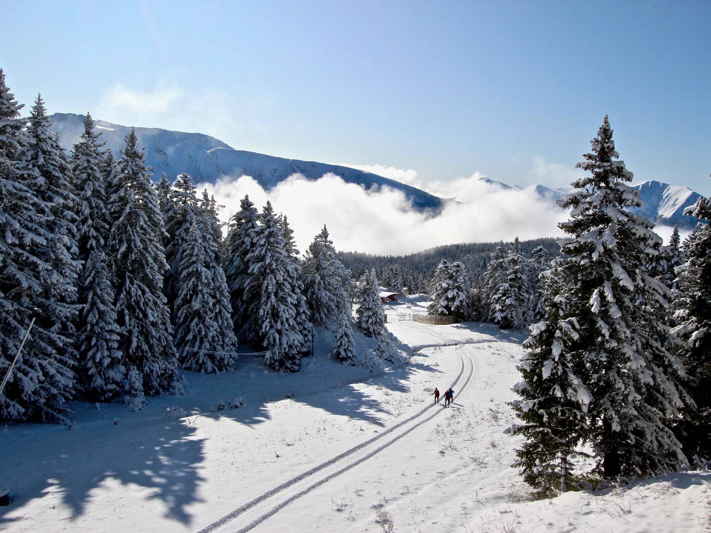 A snow-covered landscape with a ski trail, evergreen trees, and distant mountains.
