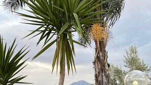 Un jardín con palmeras, una fuente de pájaros rústica y un farol.