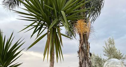 Cozy house surrounded by nature a few minutes from Pompeii, pets allowed