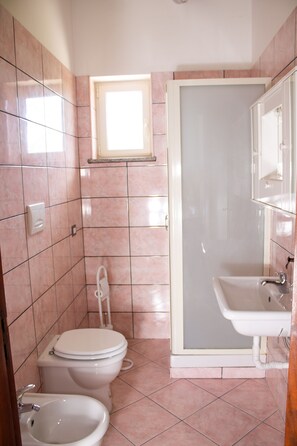 Shower, hair dryer, bidet, towels