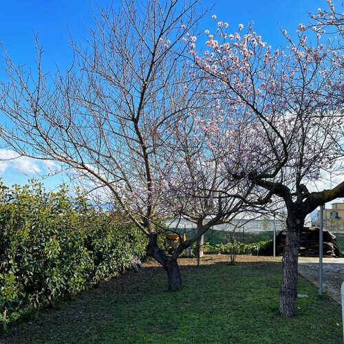Cozy house surrounded by nature a few minutes from Pompeii, pets allowed